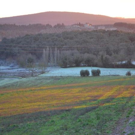 Podere Ficareto Farm Ancaiano Экстерьер фото