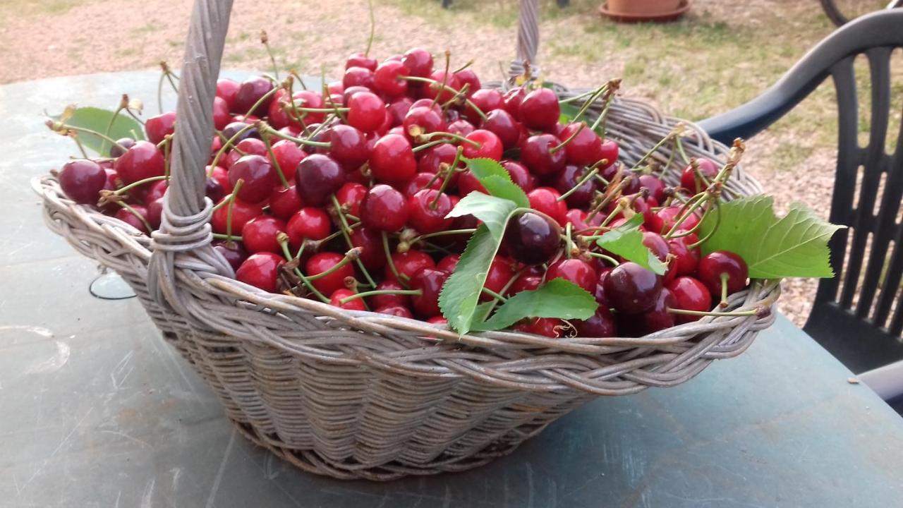 Podere Ficareto Farm Ancaiano Экстерьер фото