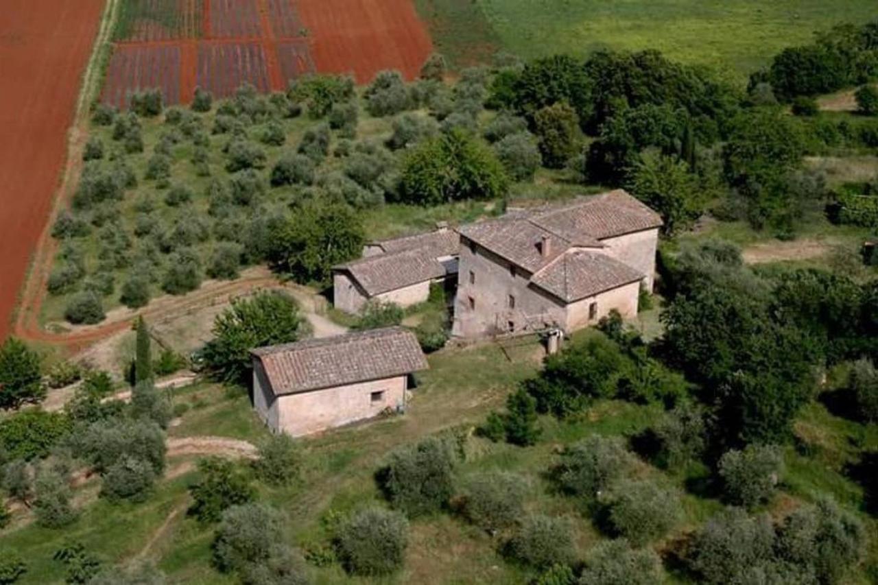 Podere Ficareto Farm Ancaiano Экстерьер фото